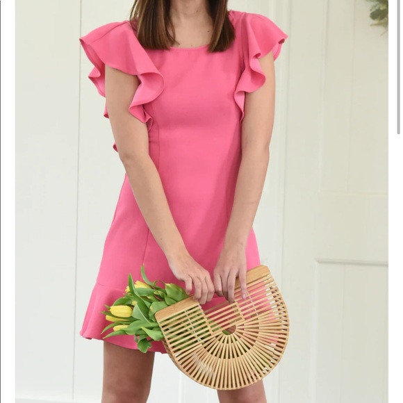 Harper Wren Lohan Dress Pink Ruffle Dress Size Large NEW with Tags - Picture 7 of 12